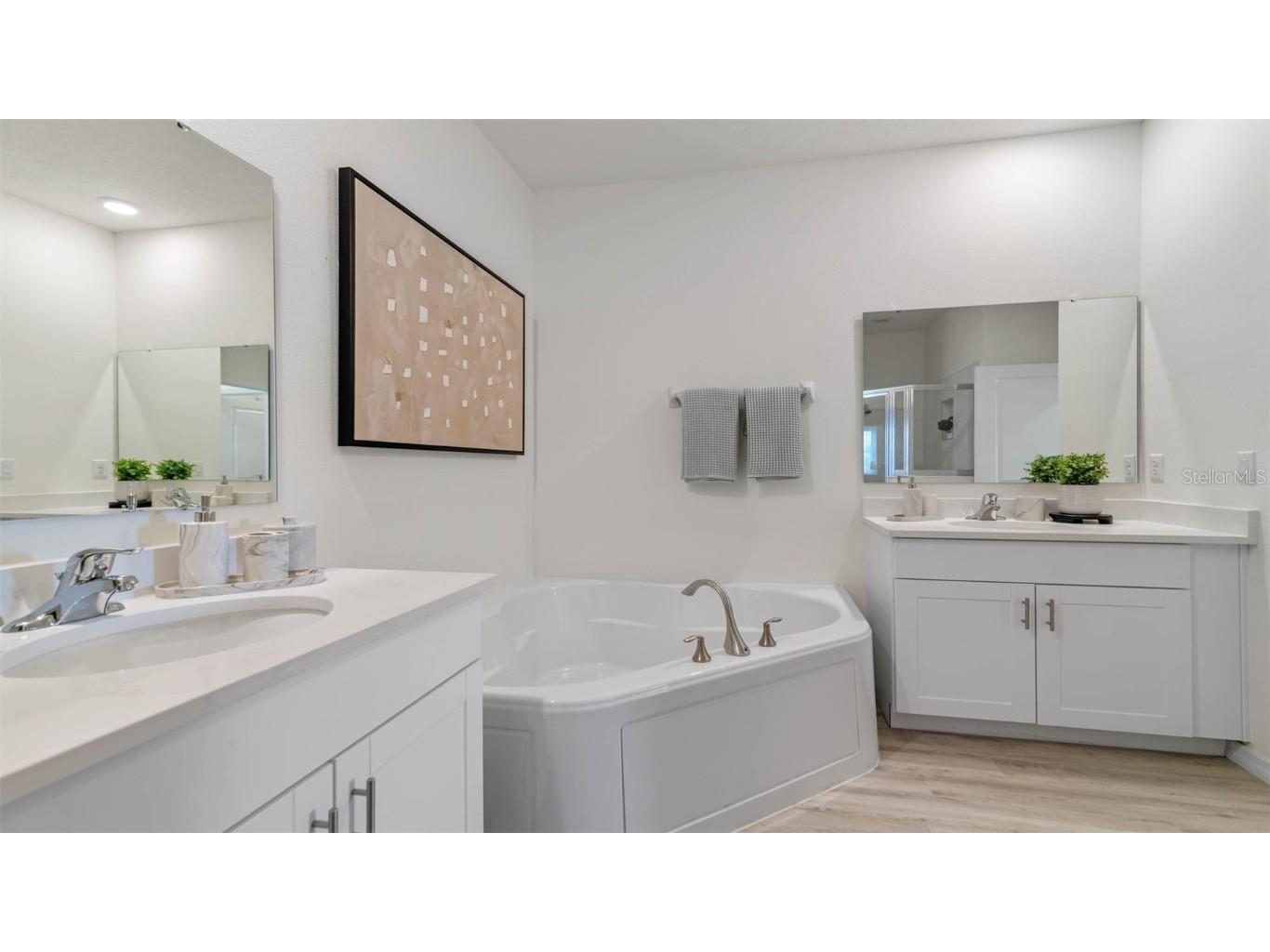 2009 Walnut Creek Drive Kissimmee FL 34744 O6332010 image33