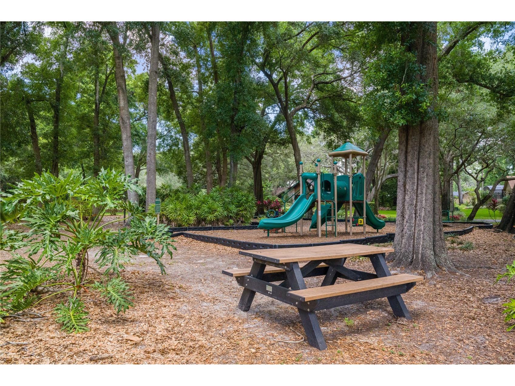 2009 Woody Drive Windermere FL 34786 - LAKE DOWN O6422132 image43