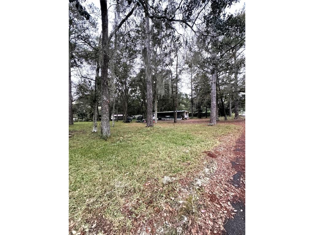 20090 Ruth Street Brooksville FL 34601 T3487646 image1