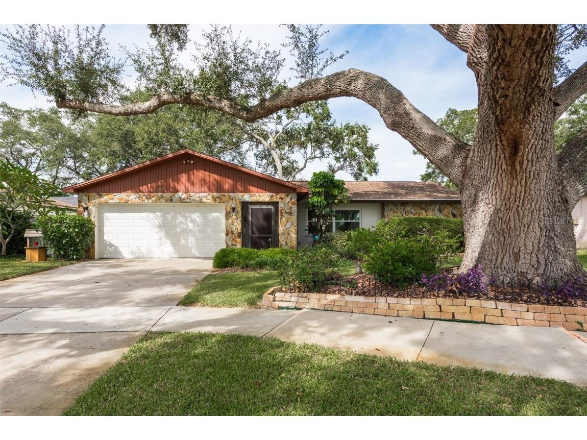 201 19th Street Palm Harbor FL 34683 U8214880 image1