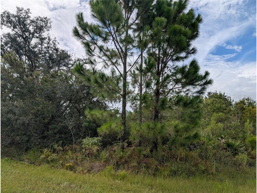 201 Alba Drive Indian Lake Estates FL 33855 - WALK-IN-WATER TB8415311 image2