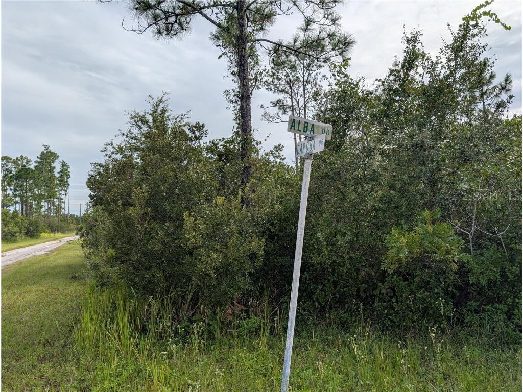 201 Alba Drive Indian Lake Estates FL 33855 - WALK-IN-WATER TB8415311 image3