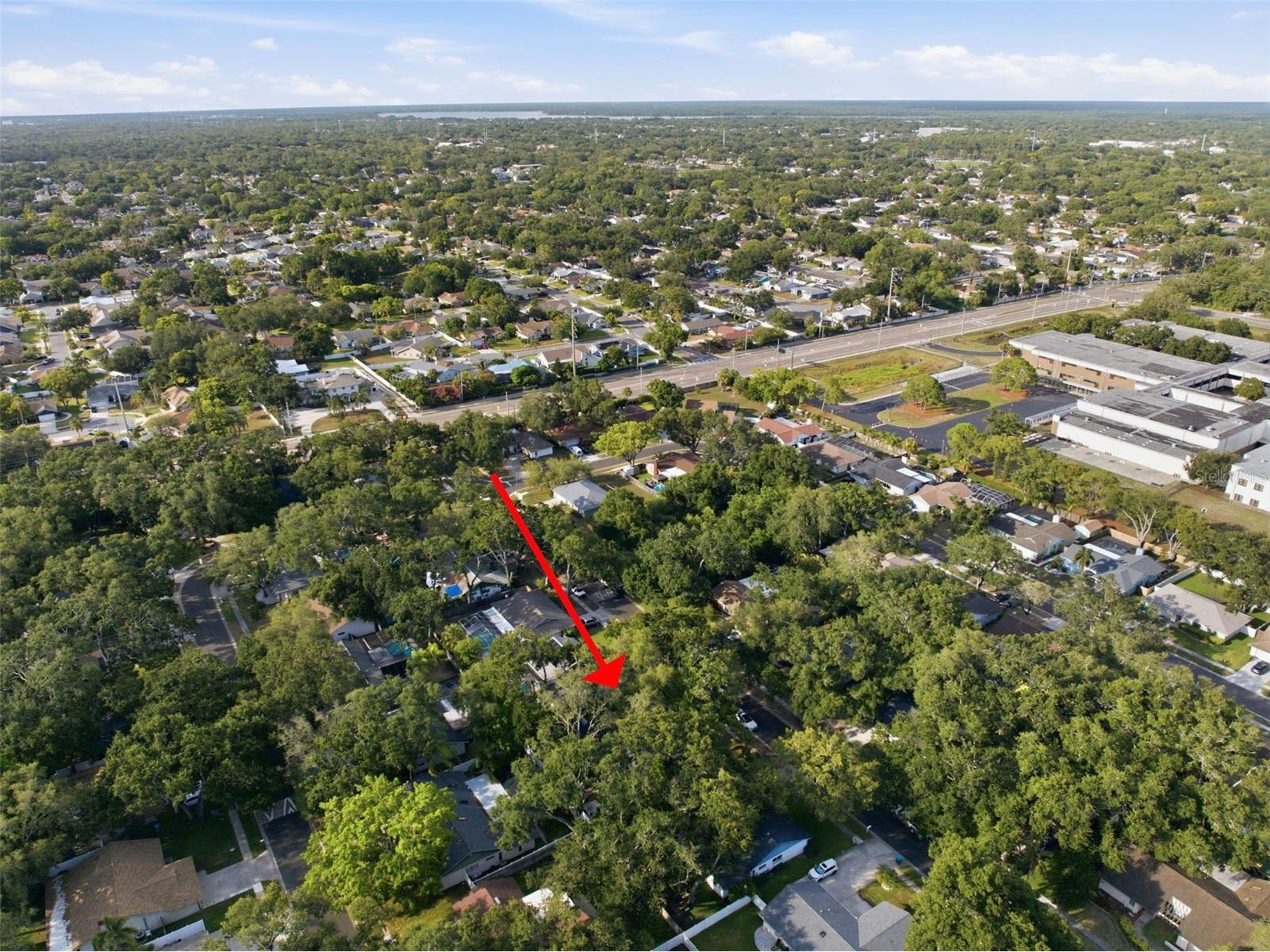 201 Arbor Glen Drive Palm Harbor FL 34683 TB8527744 image34