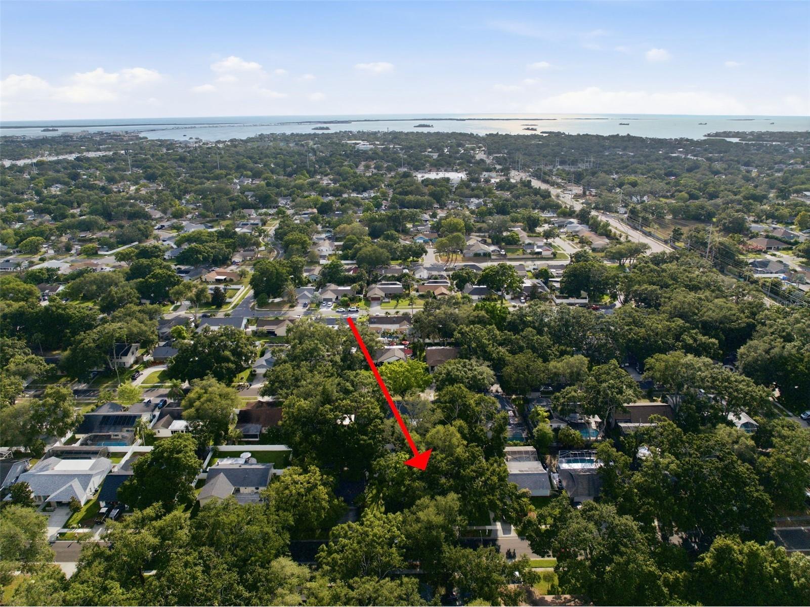 201 Arbor Glen Drive Palm Harbor FL 34683 TB8527744 image35