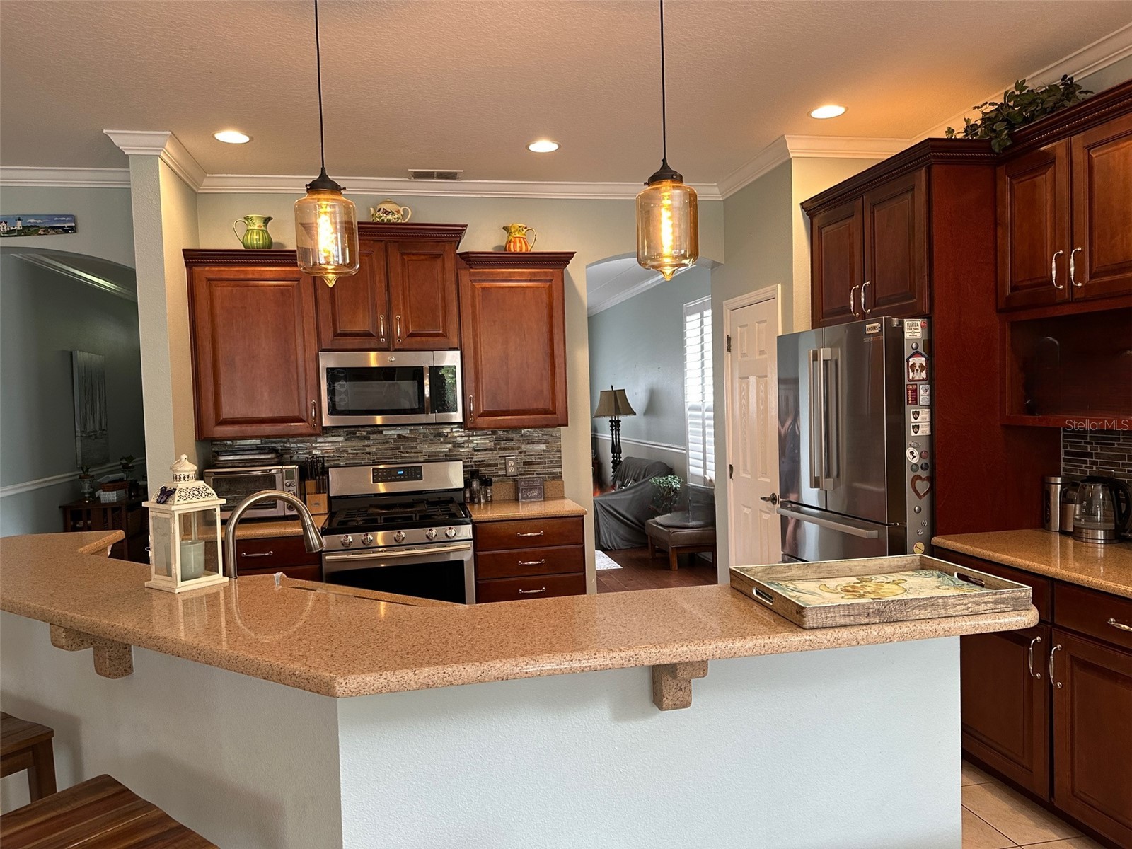 201 Asterbrooke Drive Deland FL 32724 V4947923 image7