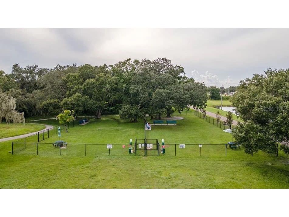 201 Bedford Street #79 Sun City Center FL 33573 TB8401490 image35