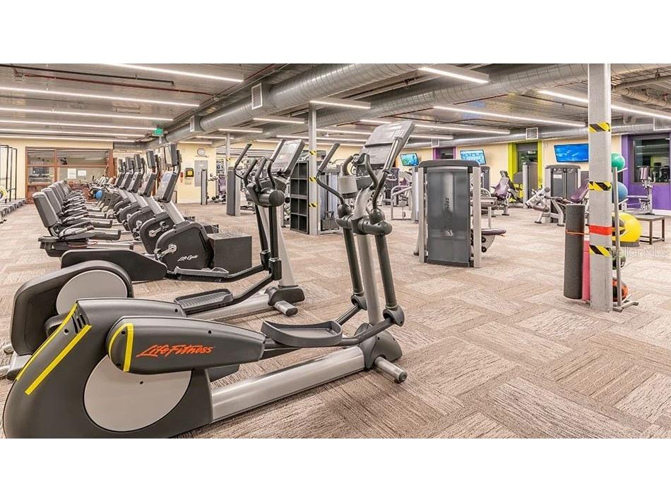 201 Bedford Street #79 Sun City Center FL 33573 TB8401490 image37