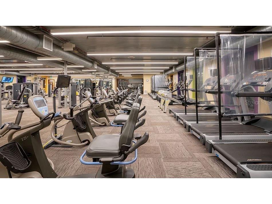 201 Bedford Street #79 Sun City Center FL 33573 TB8401490 image38