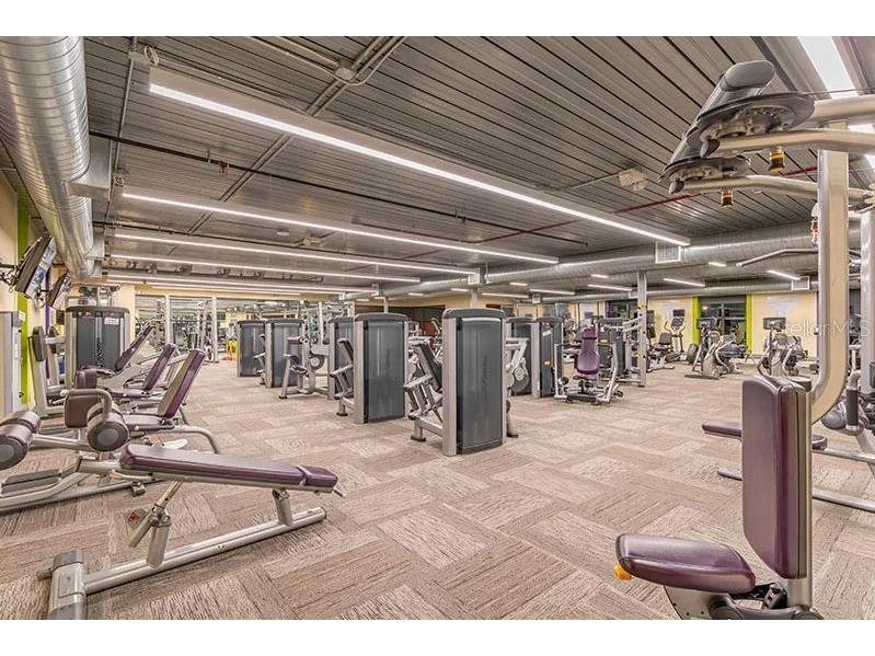 201 Bedford Street #79 Sun City Center FL 33573 TB8401490 image39