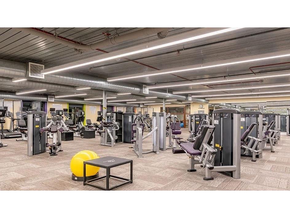 201 Bedford Street #79 Sun City Center FL 33573 TB8401490 image40