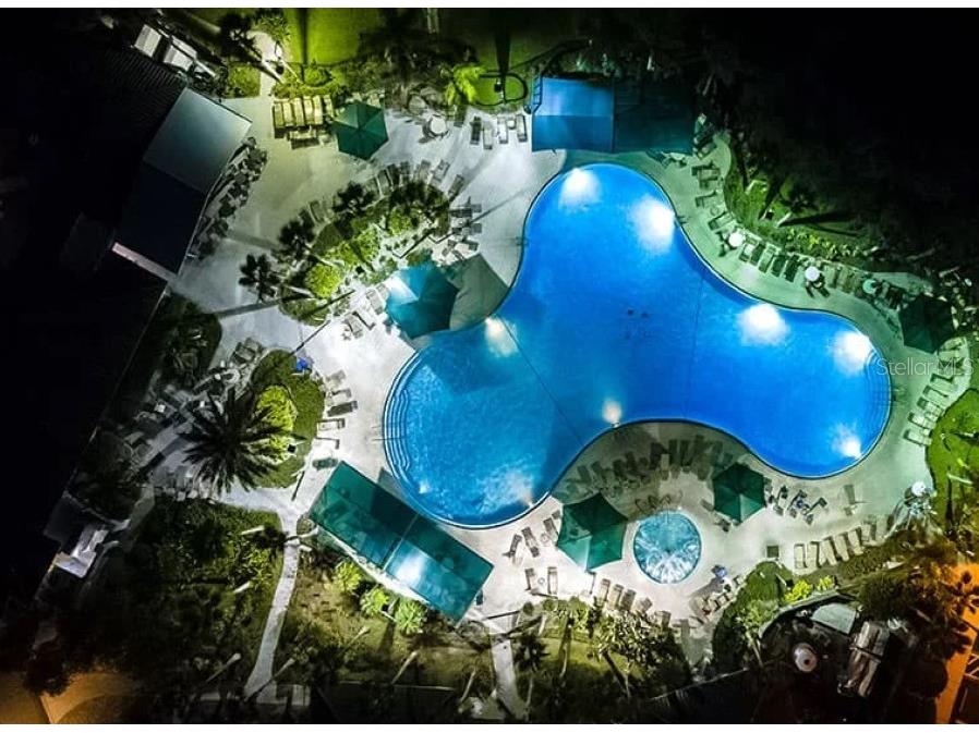 201 Bedford Street #79 Sun City Center FL 33573 TB8401490 image47