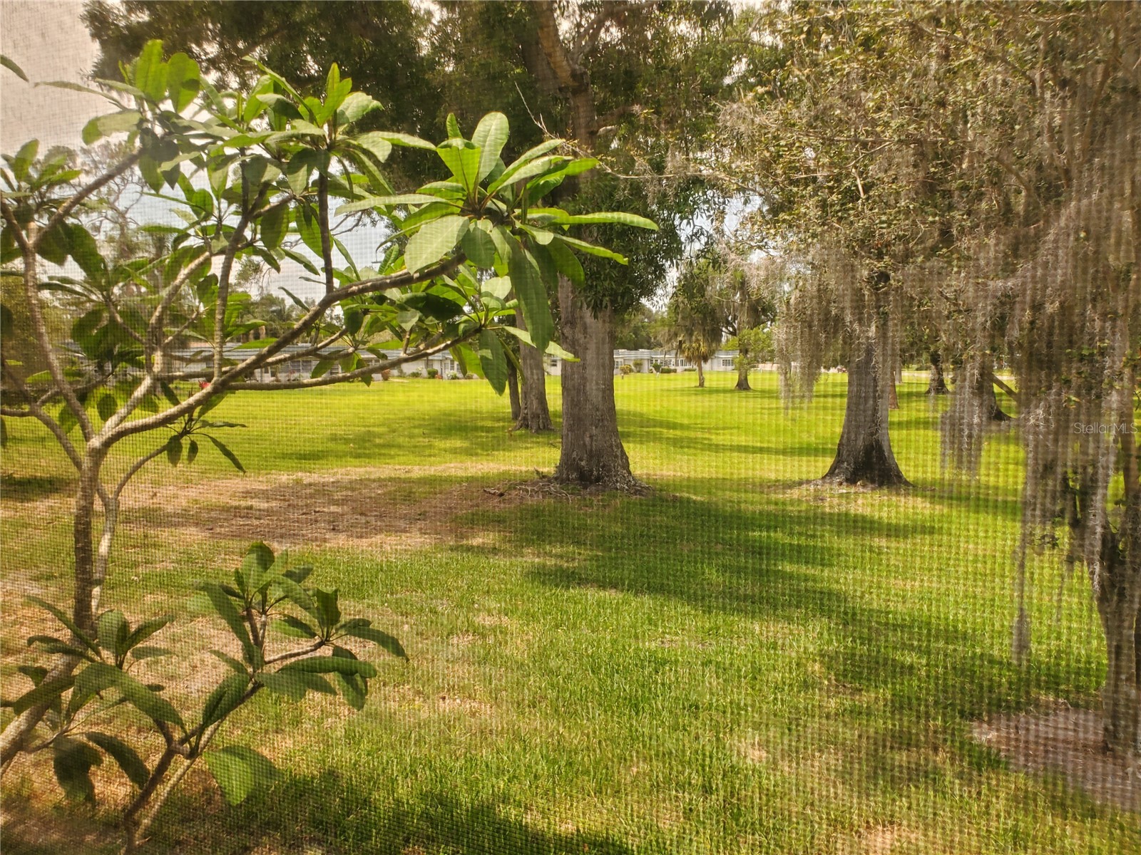 201 Bedford Trail #F128 Sun City Center FL 33573 TB8461295 image2