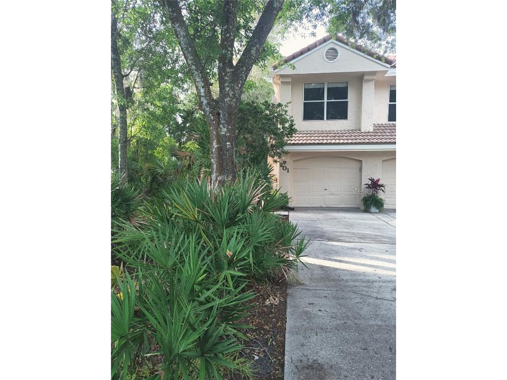 201 Clays Trail #201 Oldsmar FL 34677 U8237907 image1
