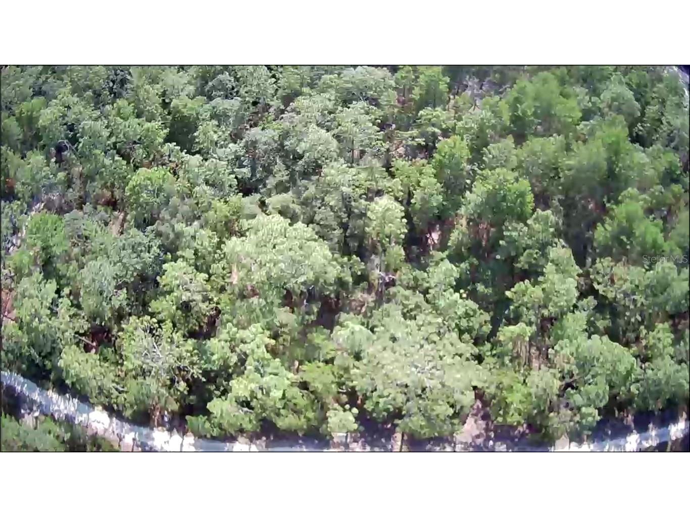 201 Deeda Street Florahome FL 32140 OM679606 image1