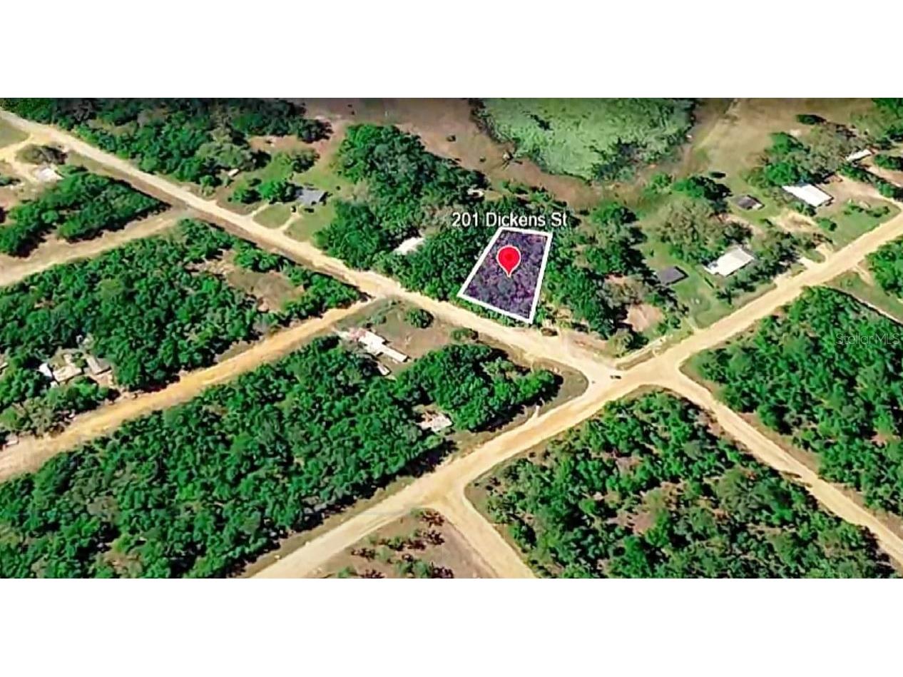 201 Dickens Street Interlachen FL 32148 O6394030 image1