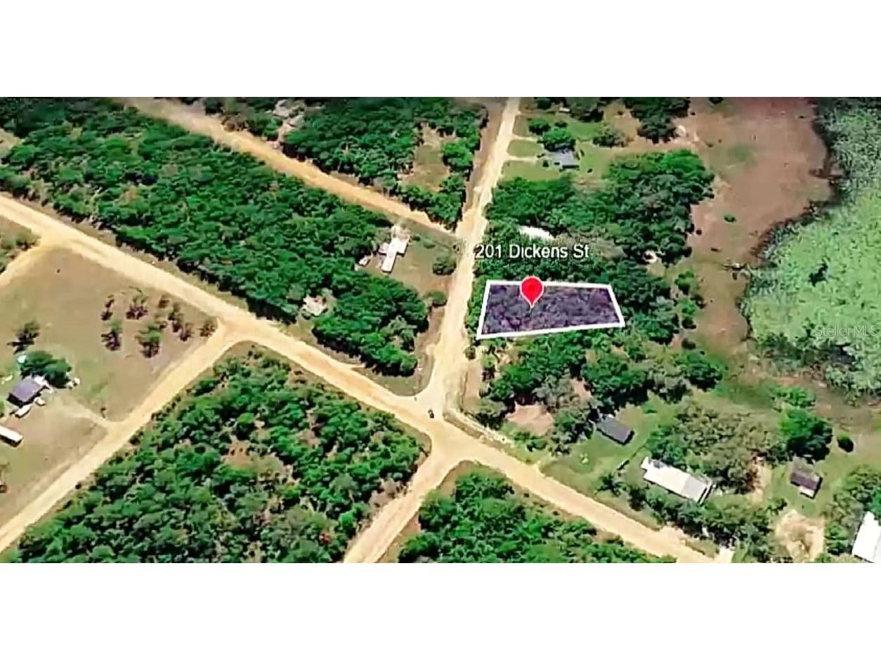 201 Dickens Street Interlachen FL 32148 O6394030 image3