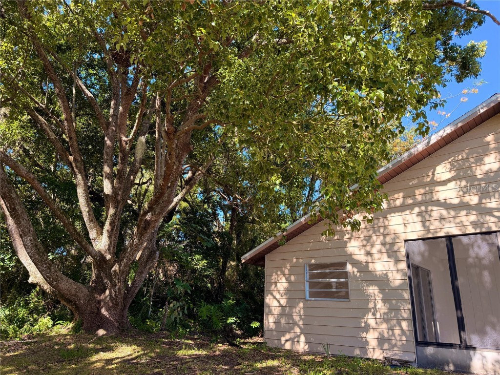 201 Fernwood Street Leesburg FL 34748 O6361442 image6