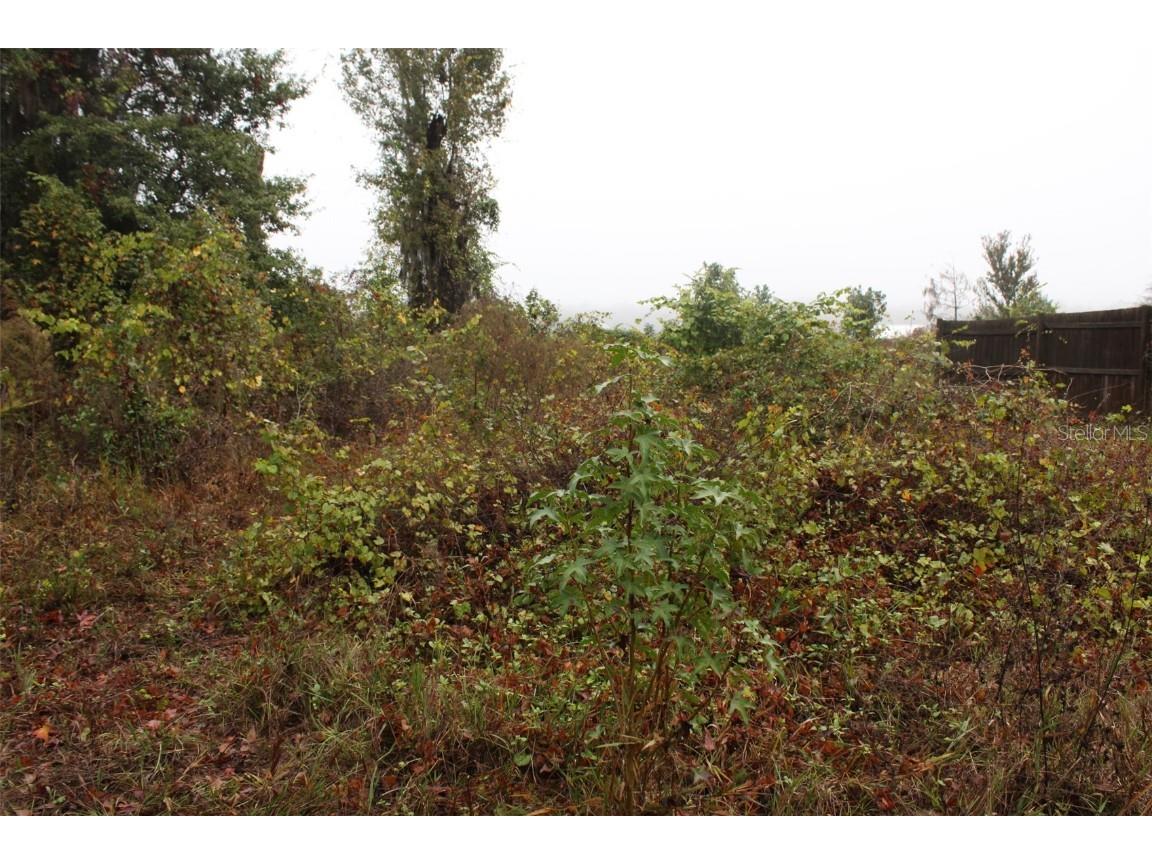 201 Floradandy Road Hawthorne FL 32640 A4674433 image10