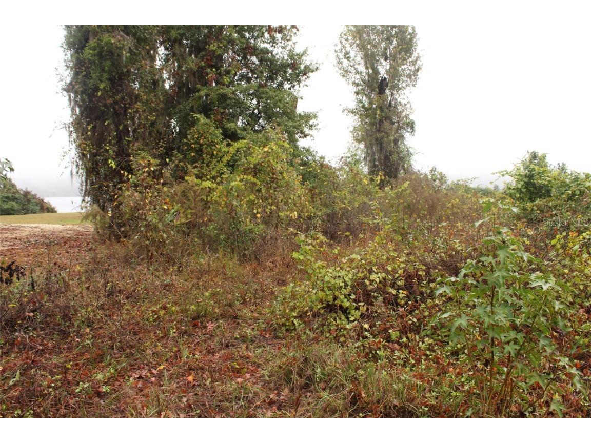 201 Floradandy Road Hawthorne FL 32640 A4674433 image11