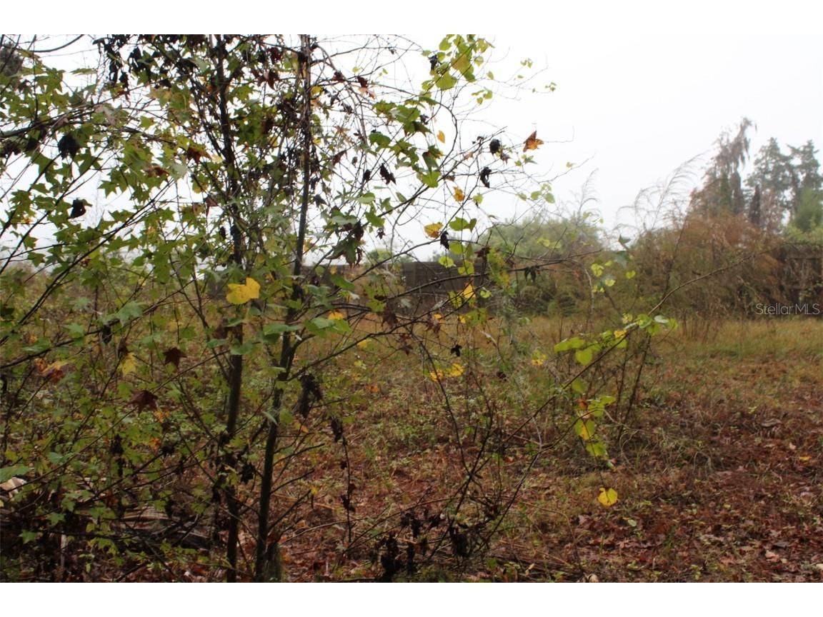 201 Floradandy Road Hawthorne FL 32640 A4674433 image7