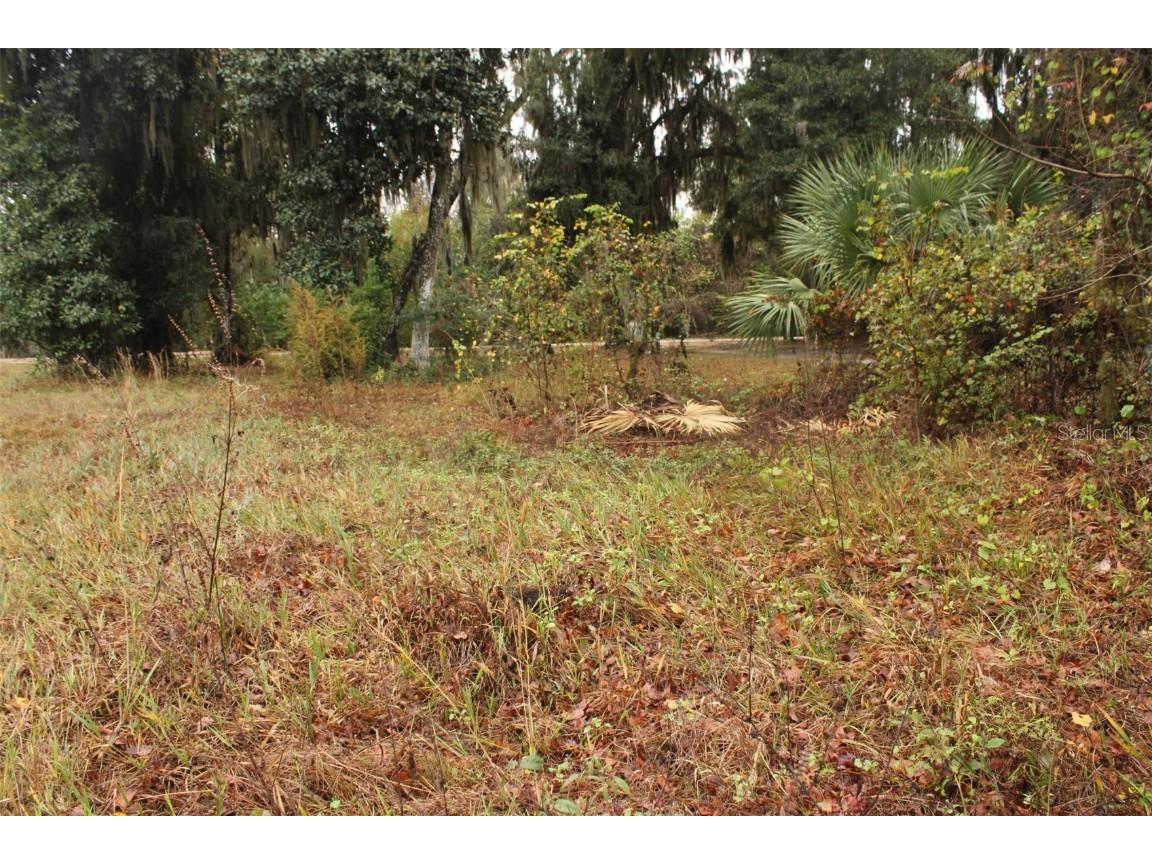 201 Floradandy Road Hawthorne FL 32640 A4674433 image9