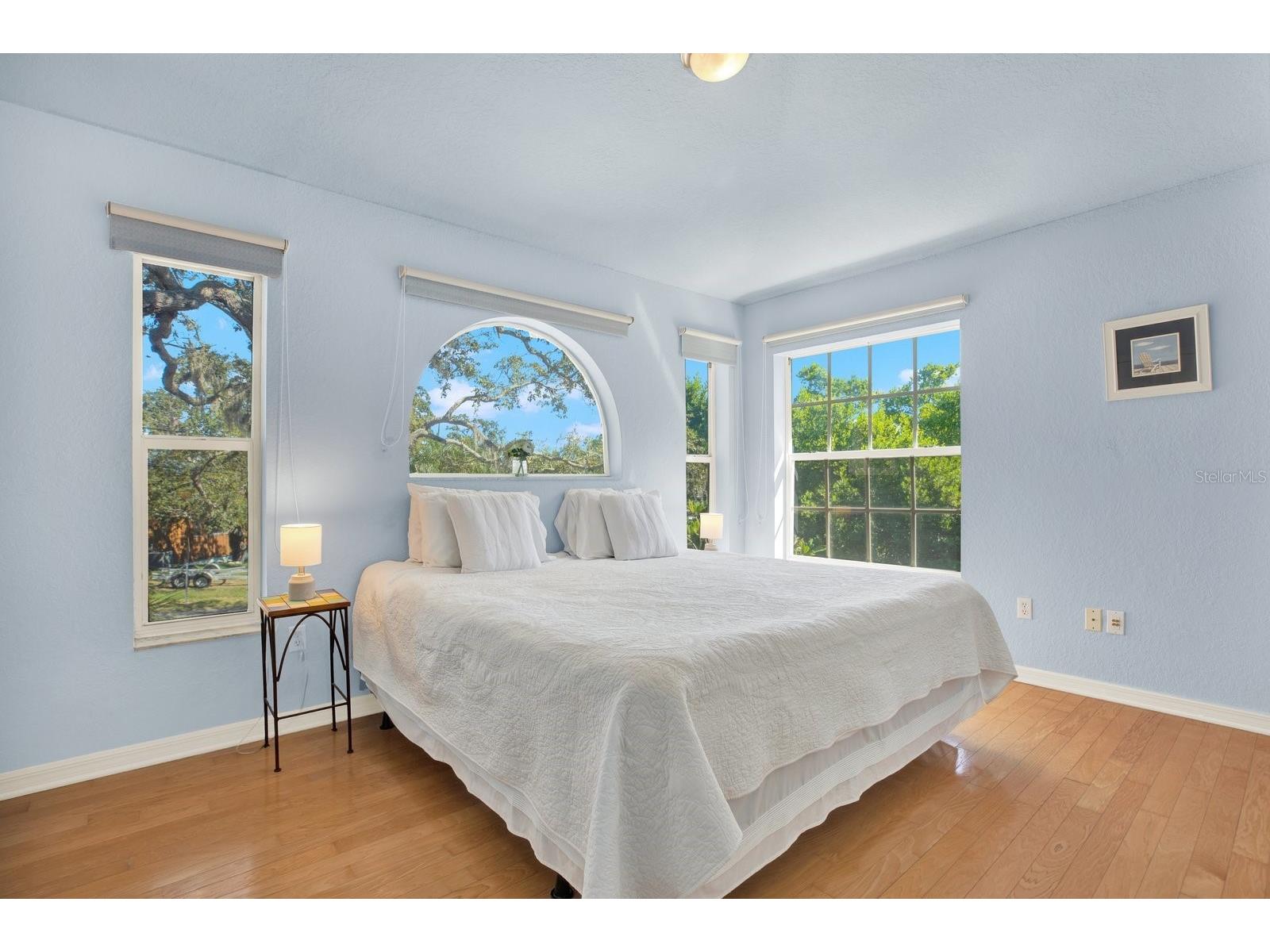 201 Georgia Avenue Crystal Beach FL 34681 TB8462277 image8