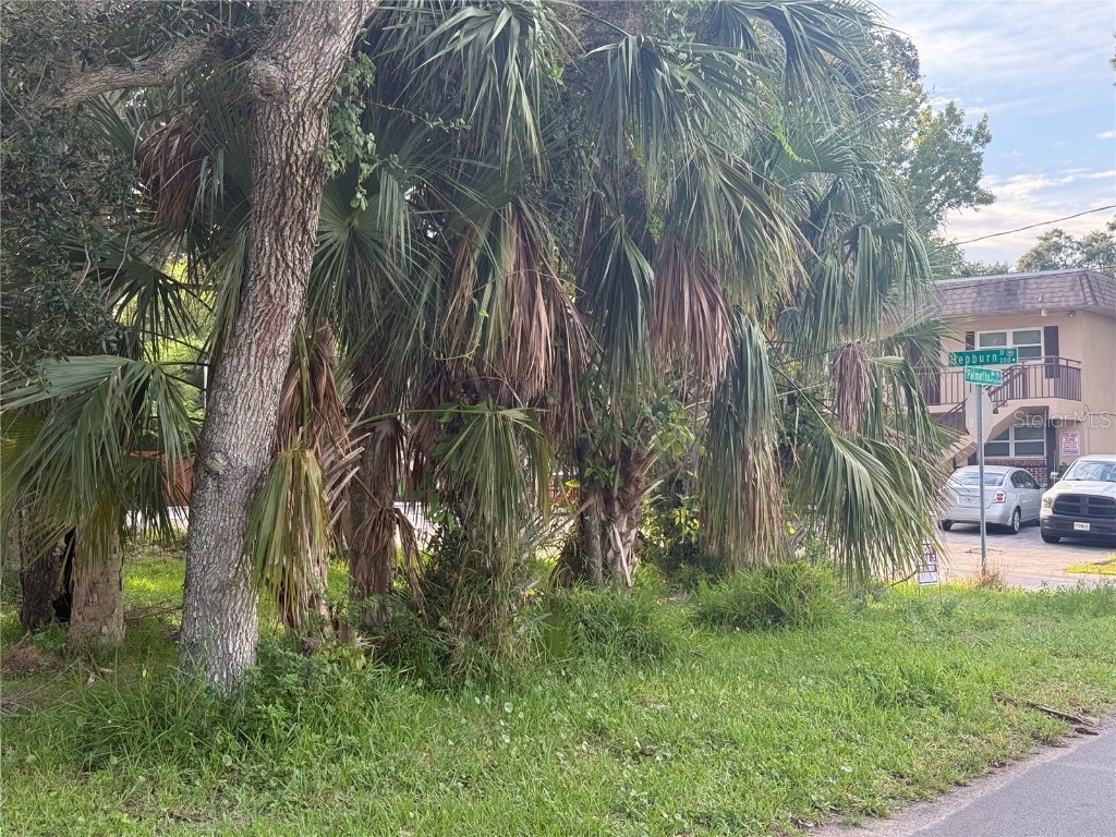 201 Hepburn Street Daytona Beach FL 32114 V4944485 image2