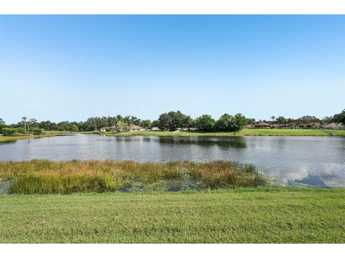 201 Kings Boulevard #19 Sun City Center FL 33573 TB8409482 image19