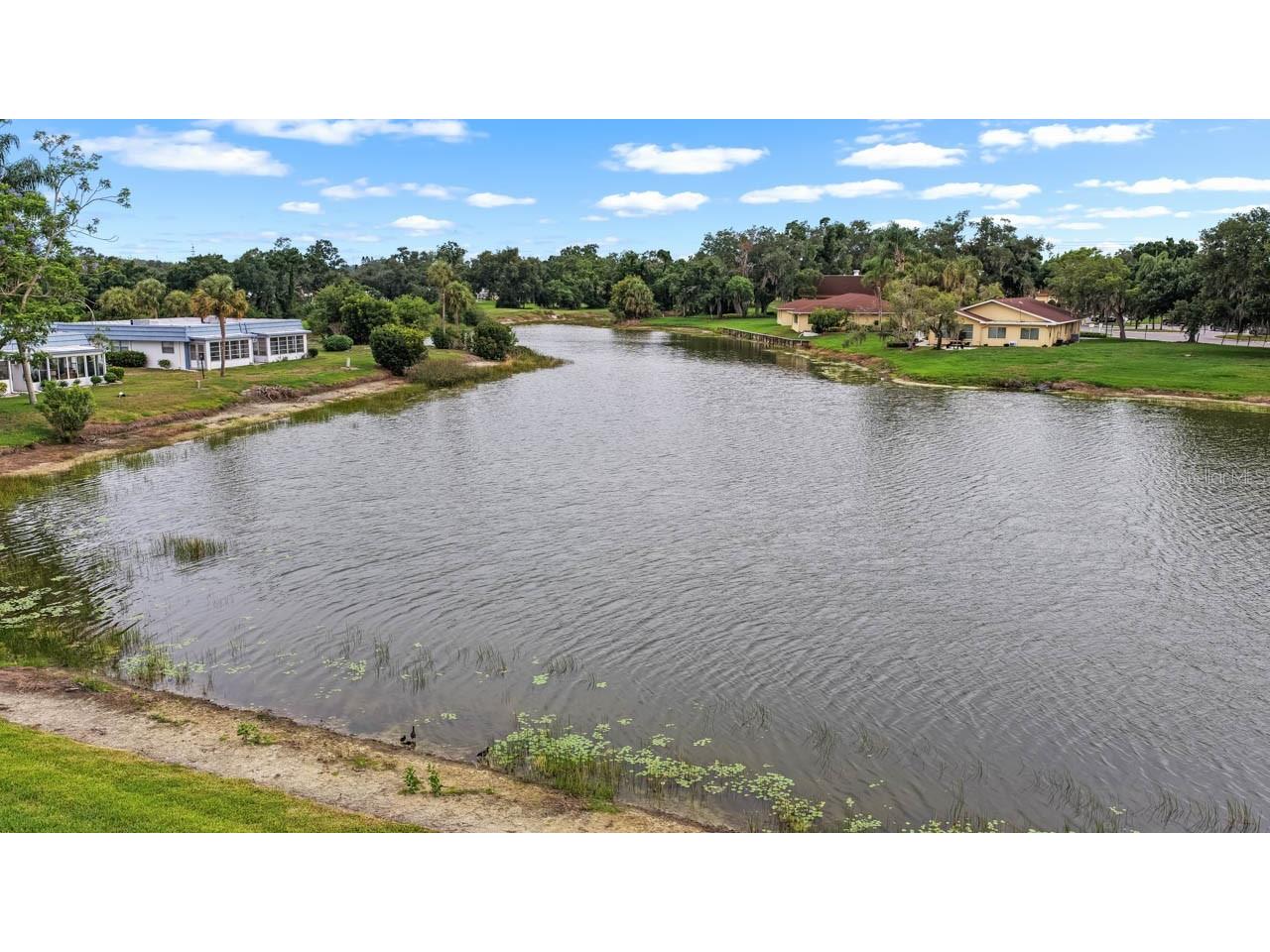 201 Kings Boulevard #19 Sun City Center FL 33573 TB8515140 image25
