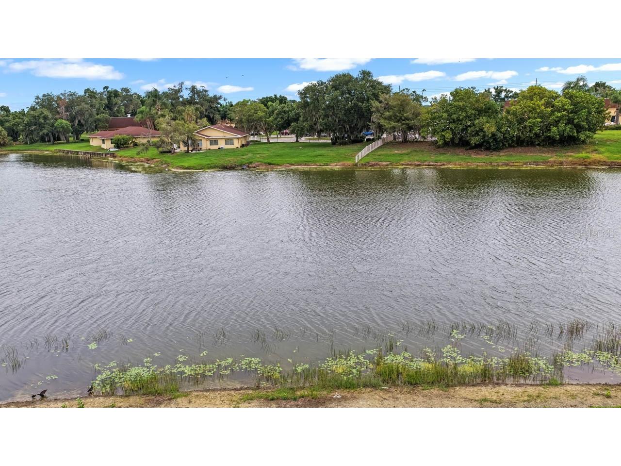 201 Kings Boulevard #19 Sun City Center FL 33573 TB8515140 image29