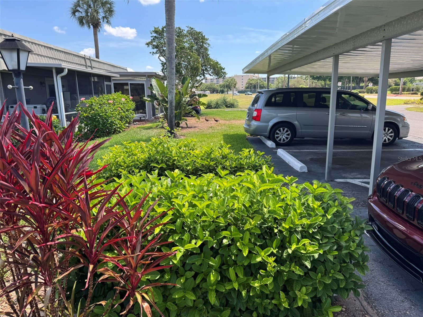 201 Kings Boulevard #5 Sun City Center FL 33573 A4693945 image21