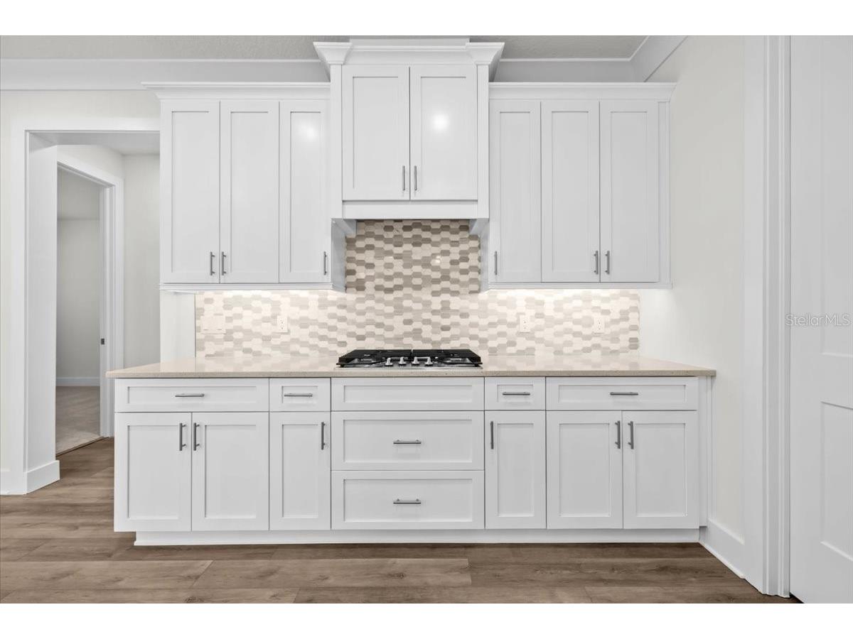 201 Larocca Court Palm Harbor FL 34683 TB8505760 image15
