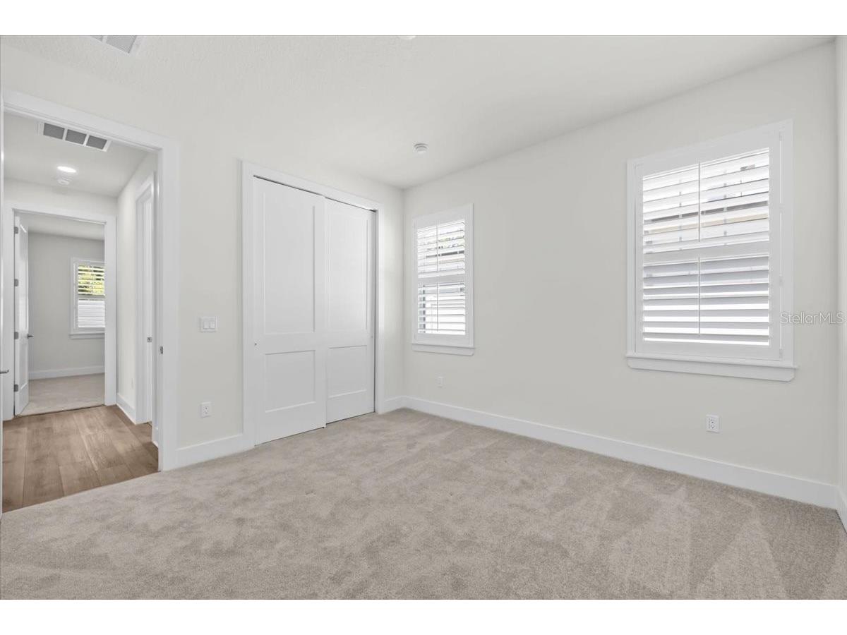 201 Larocca Court Palm Harbor FL 34683 TB8505760 image32