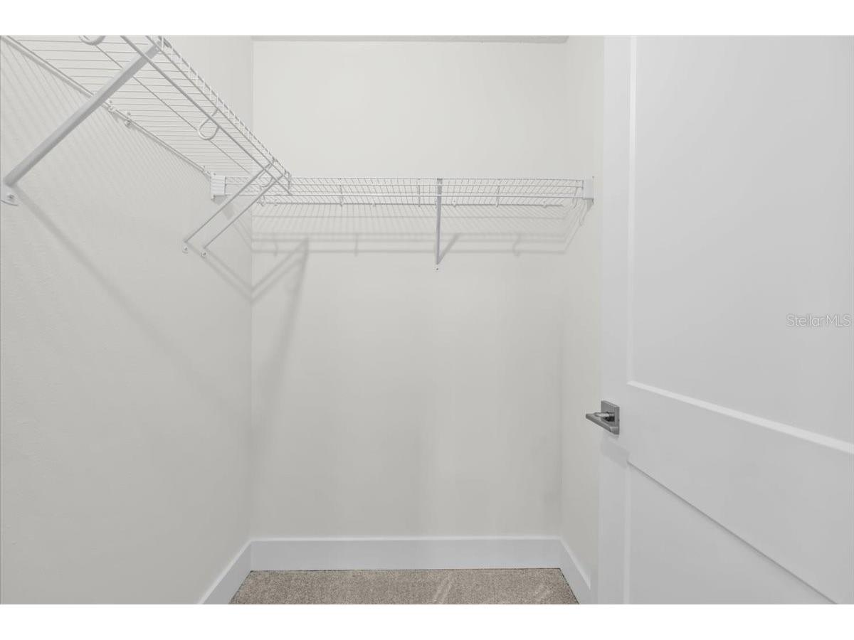 201 Larocca Court Palm Harbor FL 34683 TB8505760 image36
