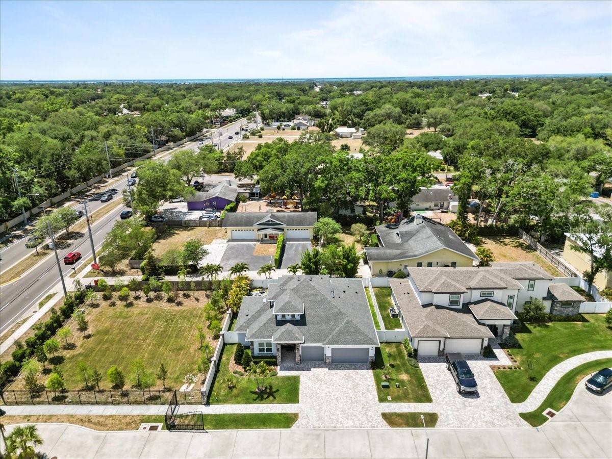 201 Larocca Court Palm Harbor FL 34683 TB8505760 image47
