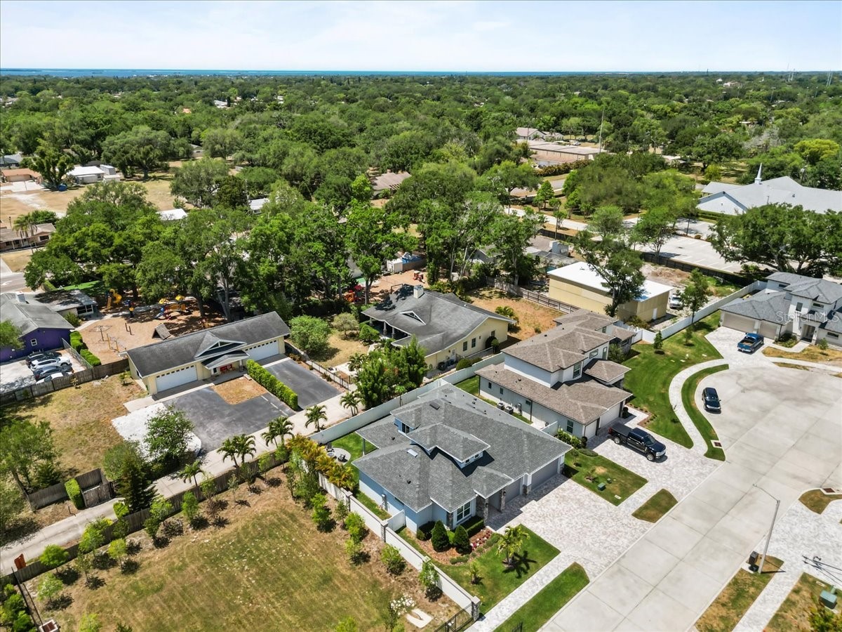 201 Larocca Court Palm Harbor FL 34683 TB8505760 image48