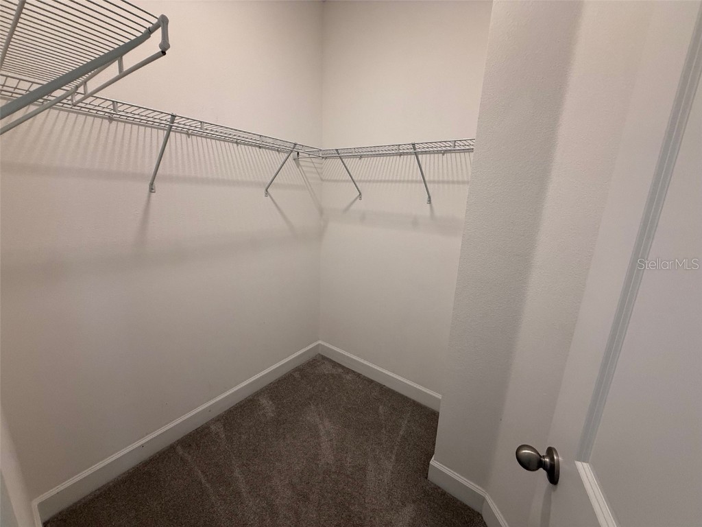 201 Messina Place Howey In The Hills FL 34737 O6362348 image15