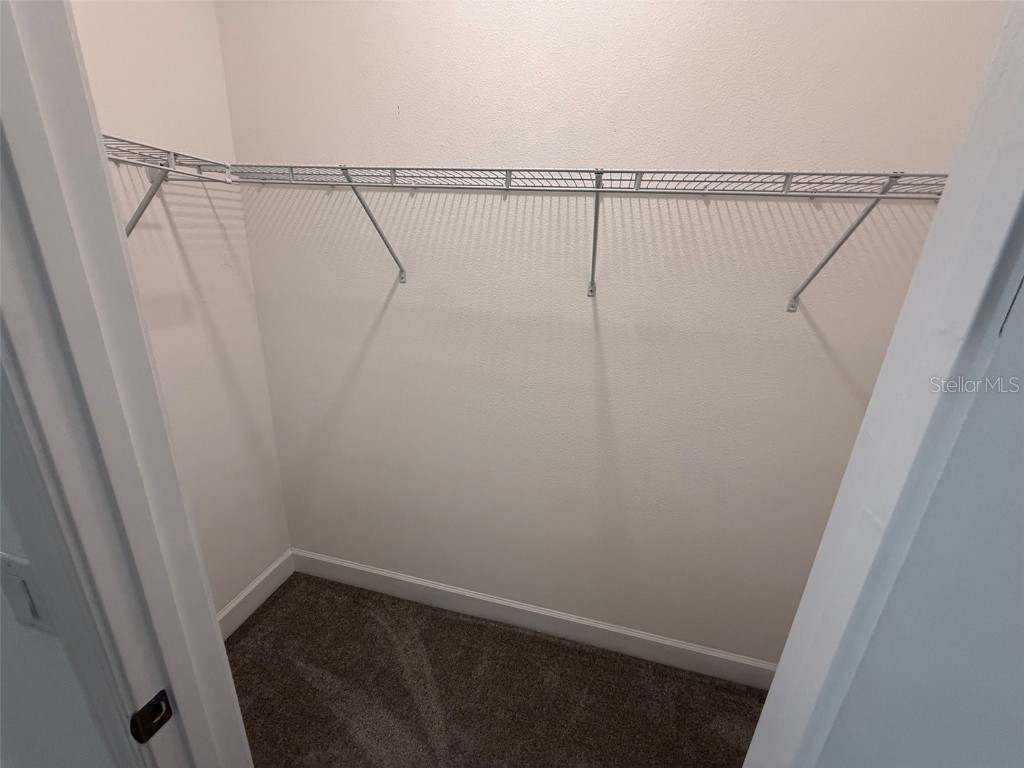 201 Messina Place Howey In The Hills FL 34737 O6362348 image16