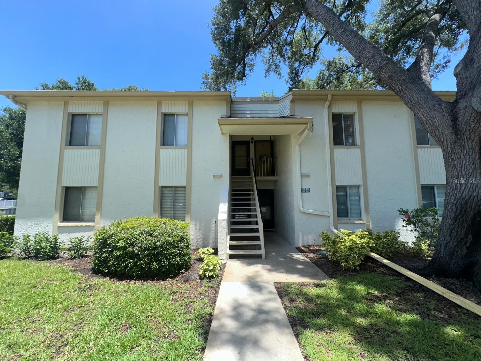 201 Palmetto Court #201 Oldsmar FL 34677 O6411960 image1