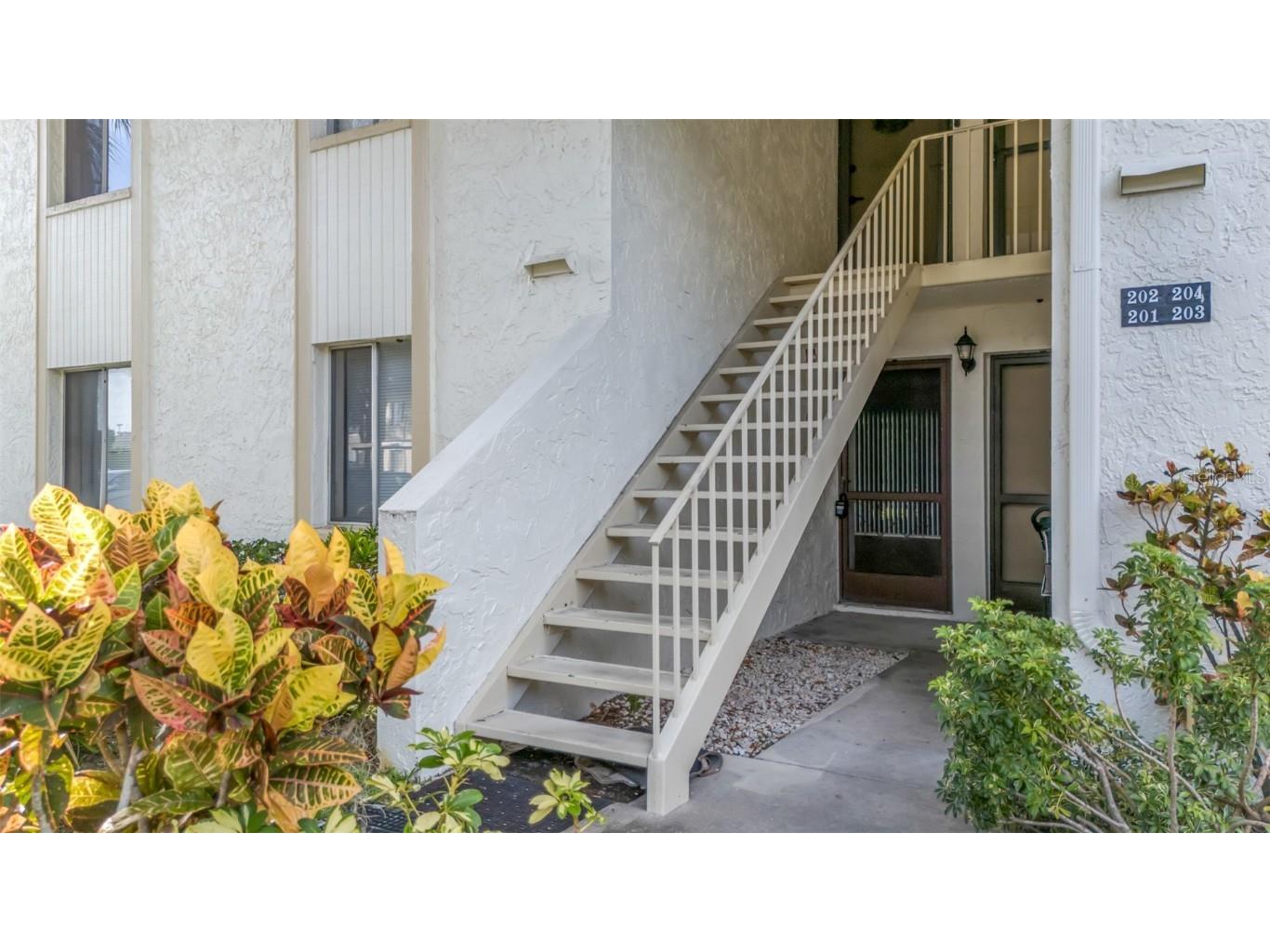 201 Pine Court Oldsmar FL 34677 T3541834 image1