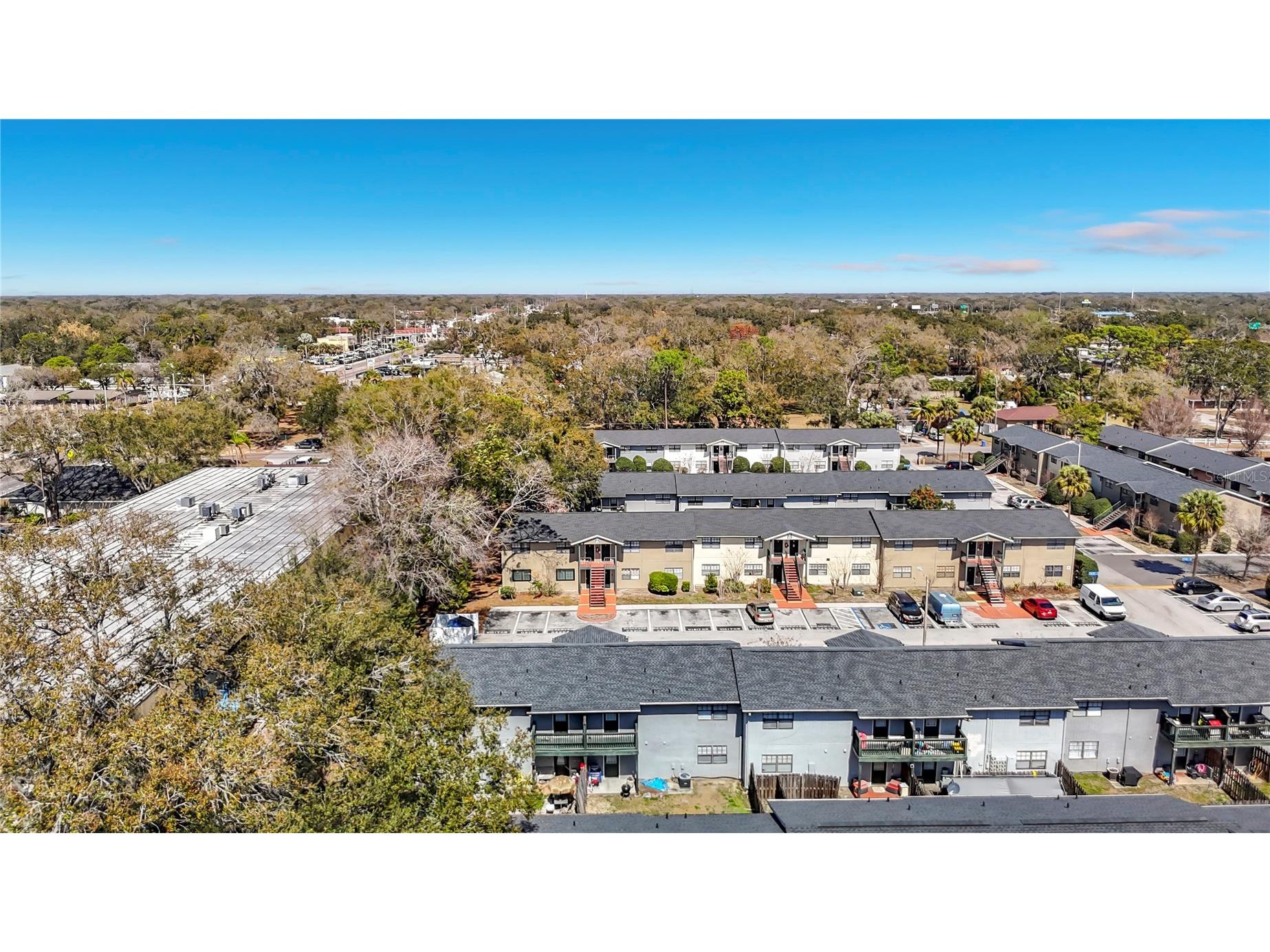 201 Pine Violet Court #201 Tampa FL 33612 L4959666 image16