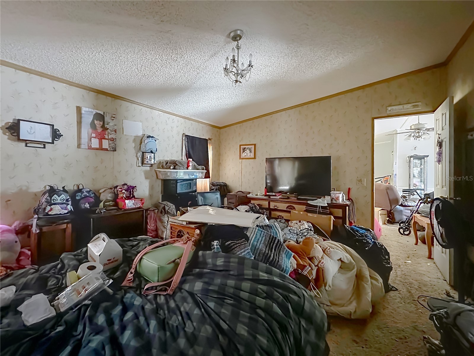 201 Scott Street Interlachen FL 32148 TB8506004 image13