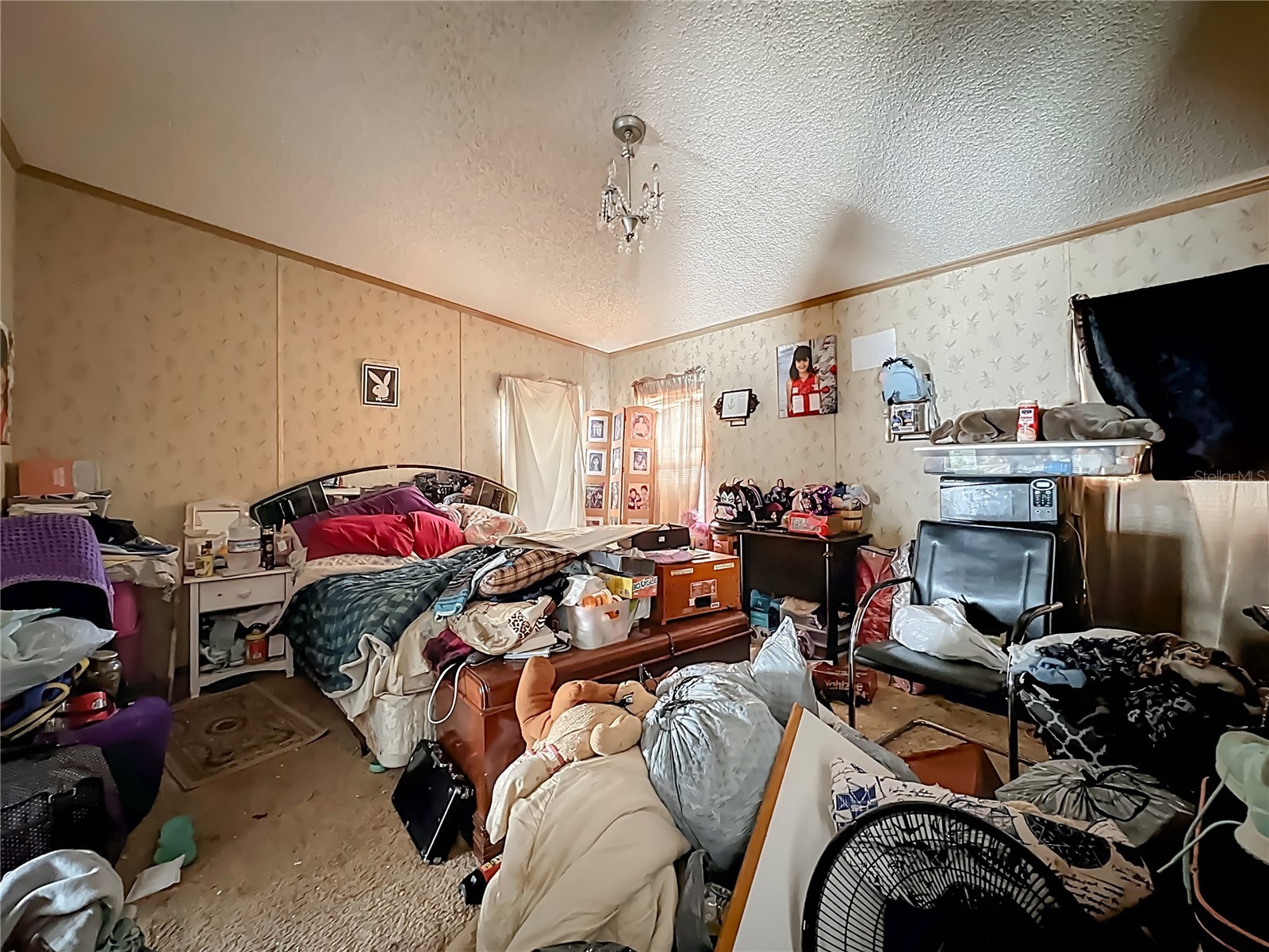 201 Scott Street Interlachen FL 32148 TB8506004 image14