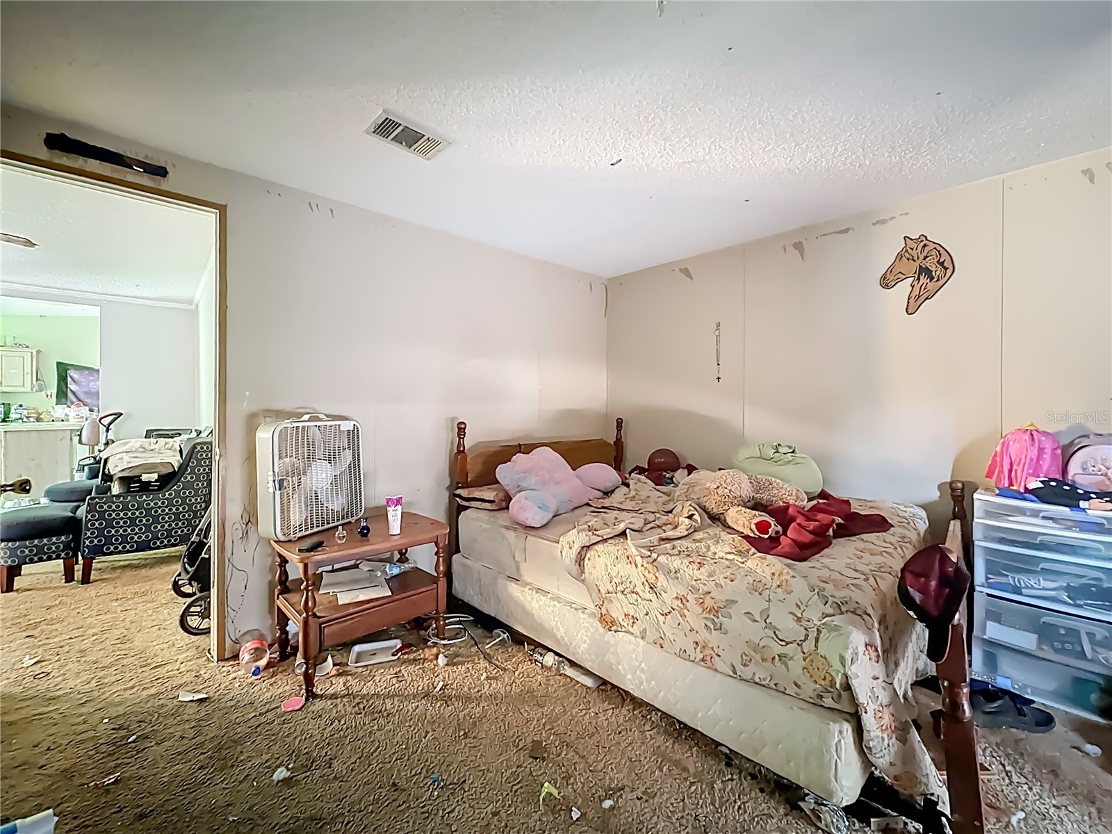 201 Scott Street Interlachen FL 32148 TB8506004 image22