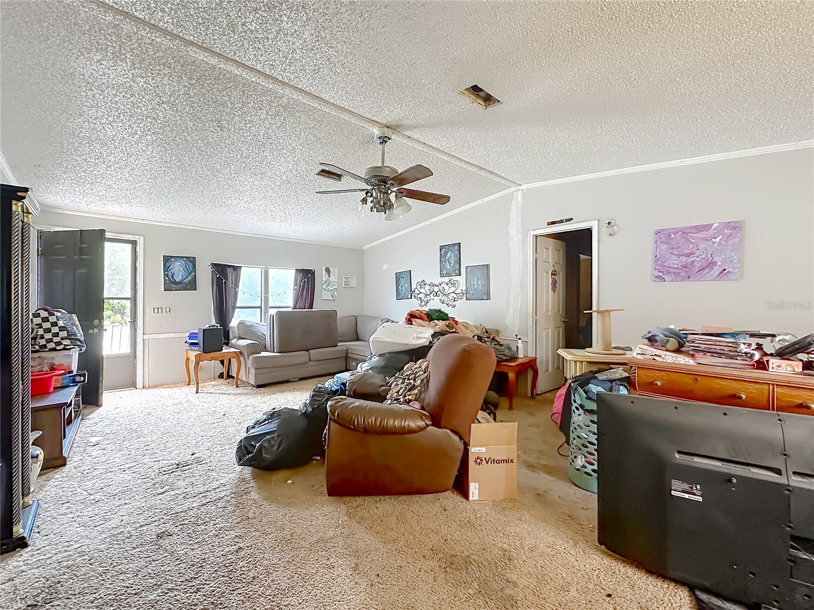 201 Scott Street Interlachen FL 32148 TB8506004 image5
