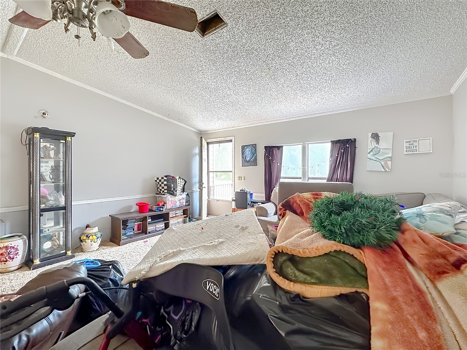 201 Scott Street Interlachen FL 32148 TB8506004 image6