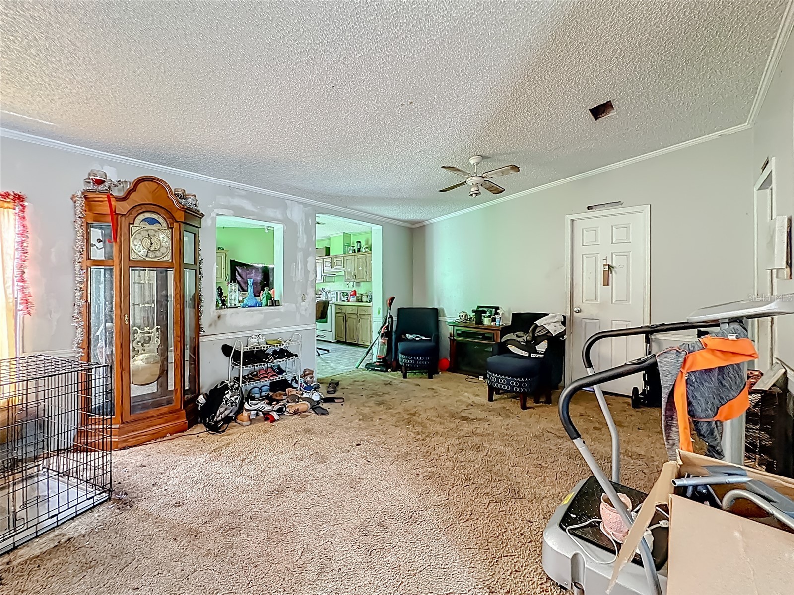 201 Scott Street Interlachen FL 32148 TB8506004 image7
