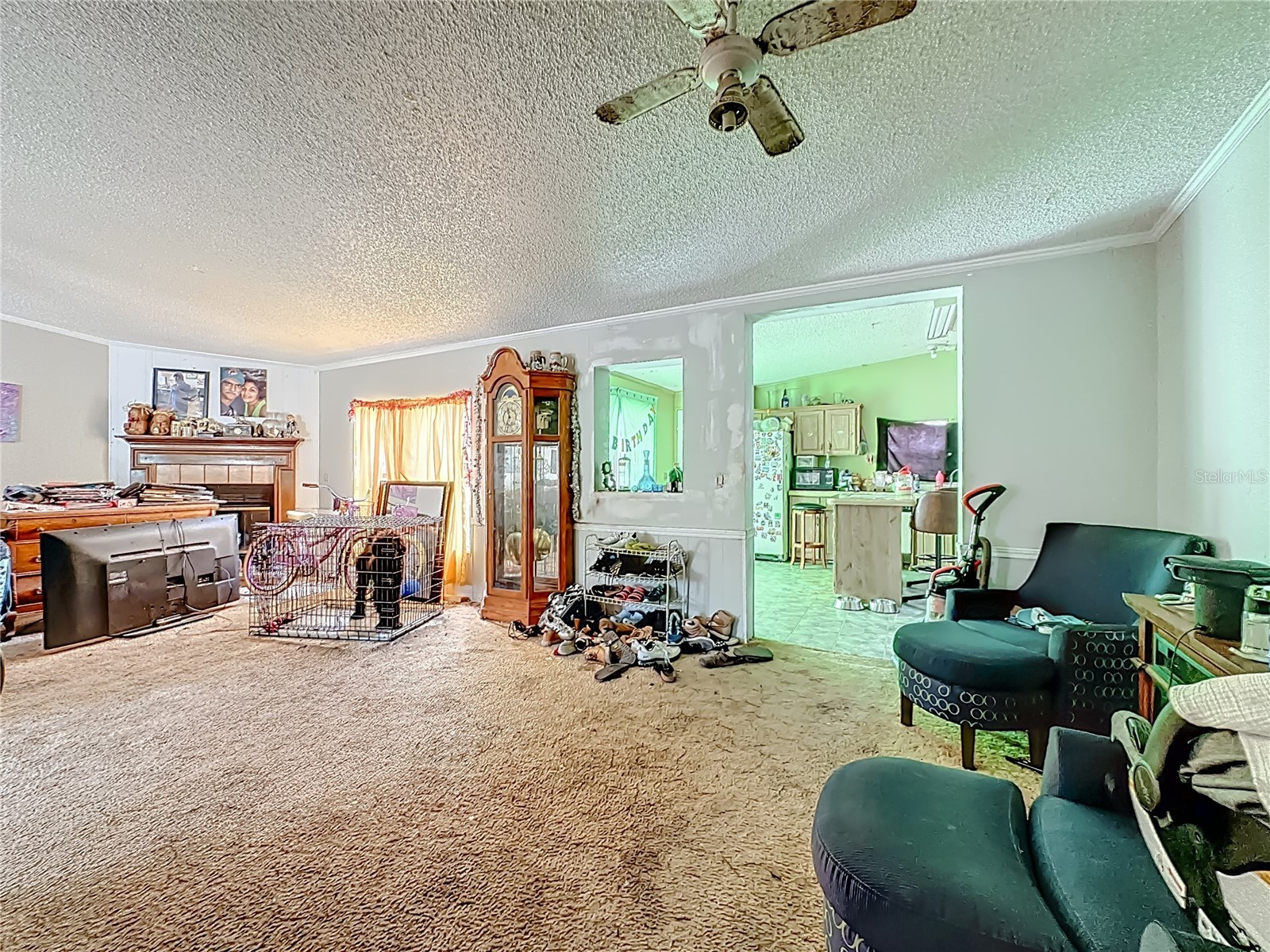 201 Scott Street Interlachen FL 32148 TB8506004 image8
