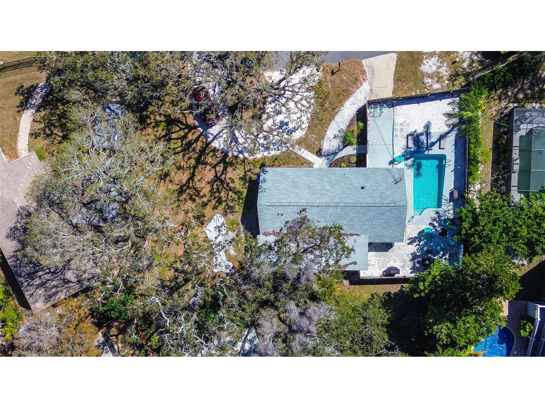 201 South Street Palm Harbor FL 34683 TB8478891 image31