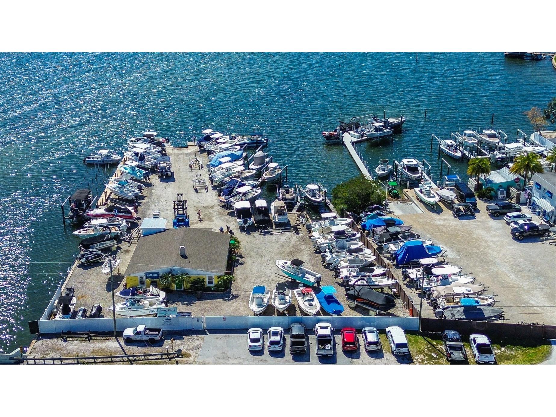 201 South Street Palm Harbor FL 34683 TB8478891 image37